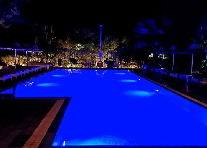 Pine Trees Art Hotel